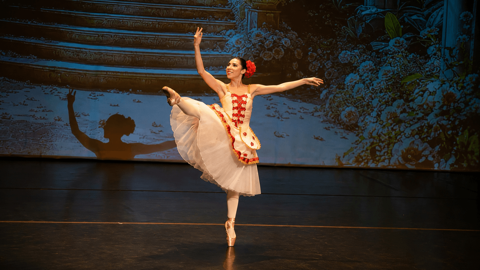 Grupo de ballet adulto